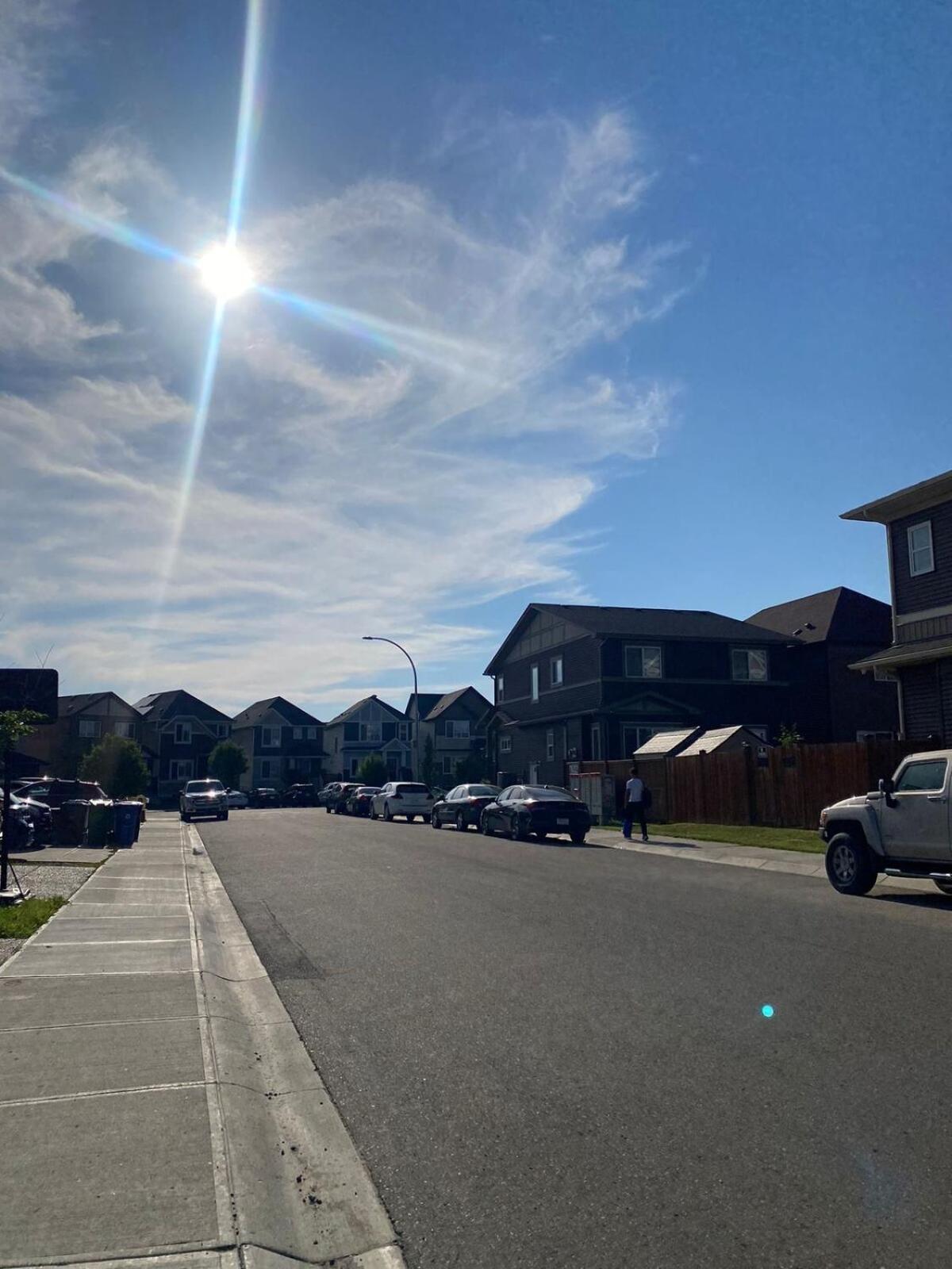 Charming Oasis Tranquil 8 Min Airport, Ac Apartment Calgary